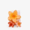 Discount Bosanova Pack pinzas de pelo flores naranjas