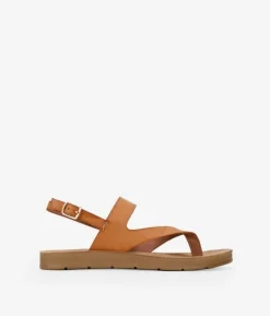 Clearance Bosanova Sandalias de dedo marrones con hebilla