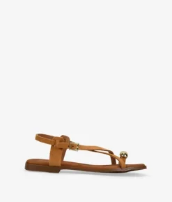 Discount Bosanova Sandalias de dedo marrones en piel con adorno metálico