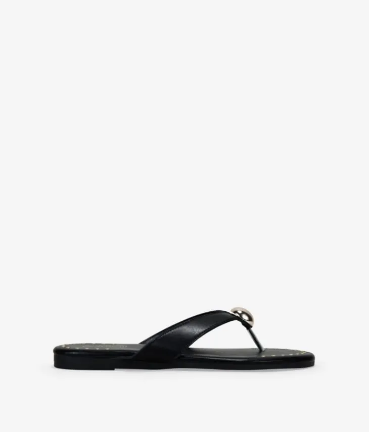 Clearance Bosanova Sandalias de dedo negras planas con metal y tachuelas
