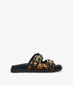 Sale Bosanova Sandalias planas de leopardo con hebillas